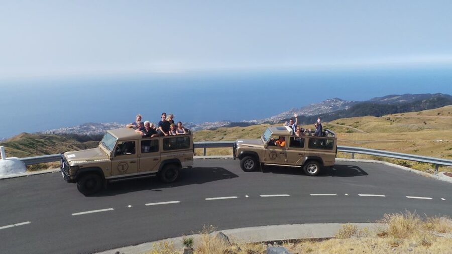 Funchal: Pico Arieiro, Cristo Rei and Dolphins Watching - What the small group changes