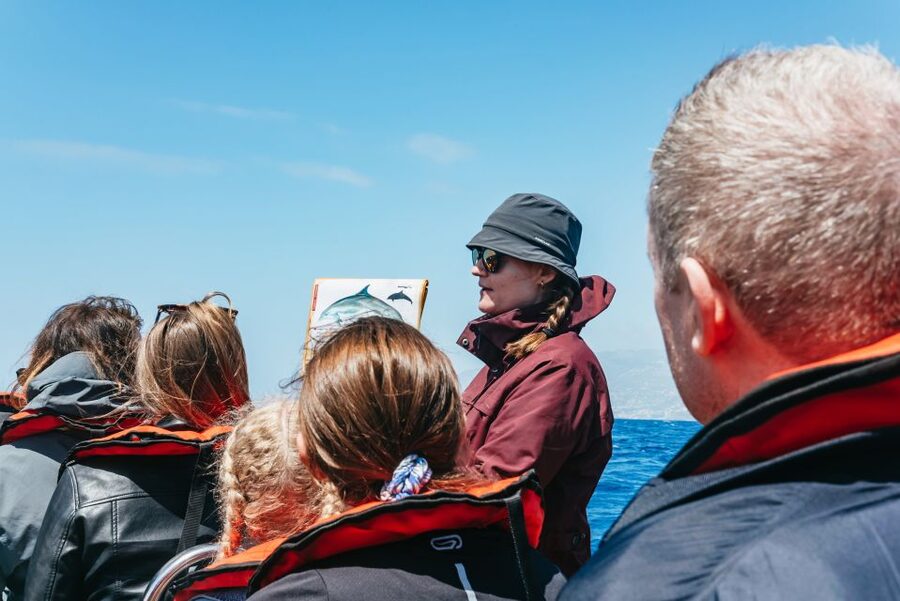 Funchal: Whale and Dolphin Watching Speed Boat Tour - Who should book this speed boat trip?