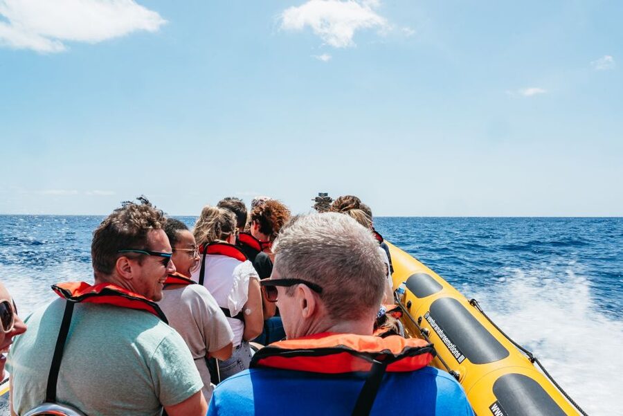 Funchal: Whale and Dolphin Watching Speed Boat Tour - The guide makes the difference