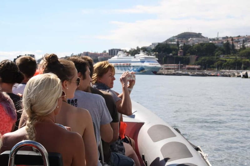 Funchal: Whale Watching and Swimming with Dolphins Cruise - Seeing whales and dolphins in the wild