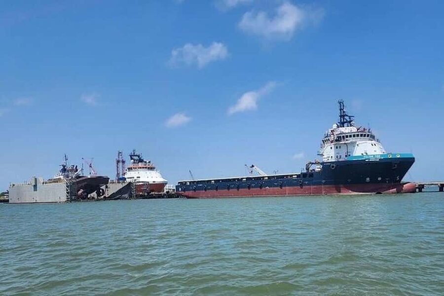 Galveston: Dolphin Watching Boat Tour in Galveston Bay - What to watch for from your seat
