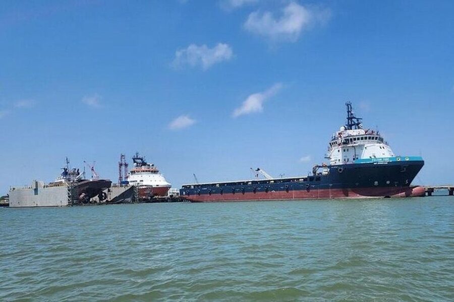Galveston: Dolphin Watching Boat Tour in Galveston Bay - Should you book it?