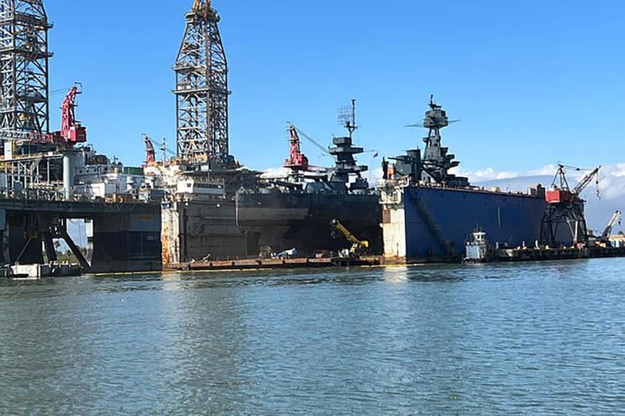 Galveston: Dolphin-Watching Cruise - Who will enjoy this cruise most?
