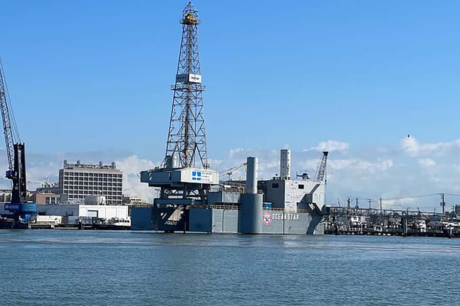 Galveston: Dolphin-Watching Cruise - Practical tips for a better ride