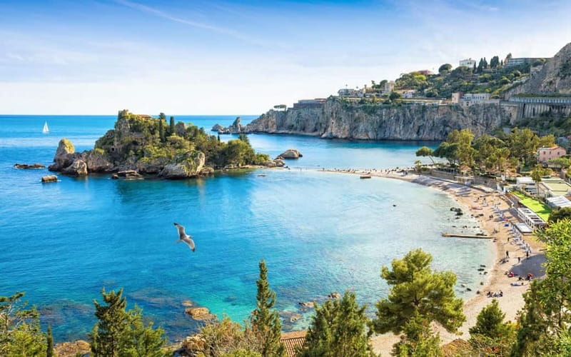 Giardini Naxos: Dolphin Catamaran Sunset Tour with Aperetif - The crew, atmosphere, and family touches