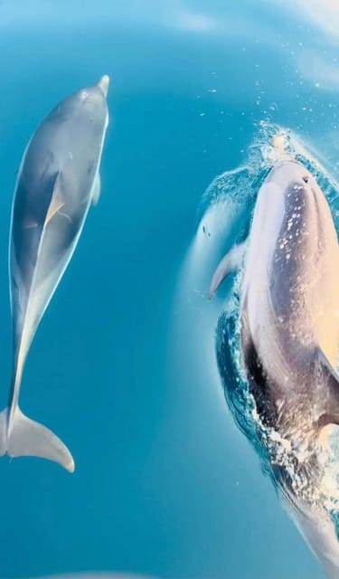 Giardini Naxos: Dolphin Searching Sunset Boat Tour - What this Giardini Naxos sunset cruise is really like