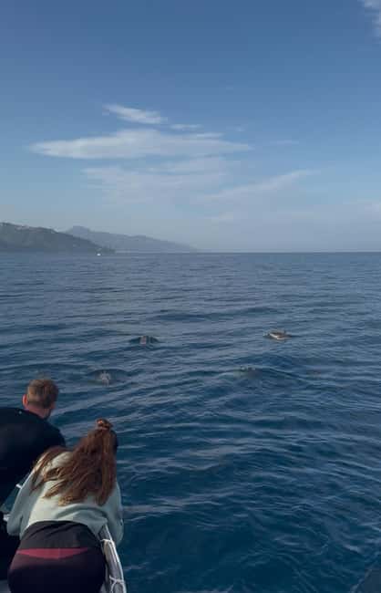 Giardini Naxos: Dolphin Searching Sunset Boat Tour - Who should book this boat trip?