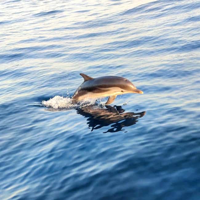 Giardini Naxos: Dolphin Searching Sunset Boat Tour - Leaving Porto di Giardini Naxos with Mount Etna behind you