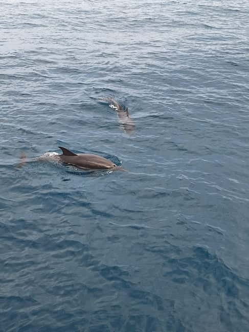 Giardini Naxos Taormina: Dolphin Watching Sunset Tour - Setting out from Sicily’s first Greek colony