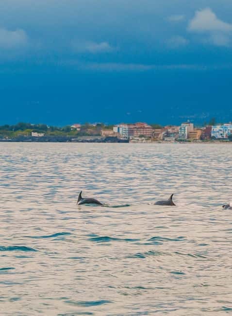 Giardini Naxos Taormina: Dolphin Watching Sunset Tour - The dolphin search is the real gamble