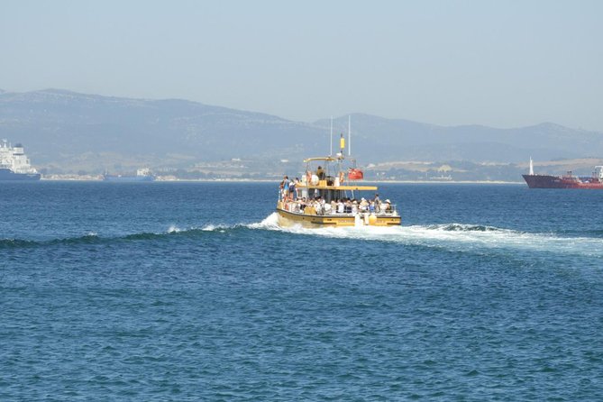 Gibraltar Dolphin Adventure - What the one-hour format means for your day