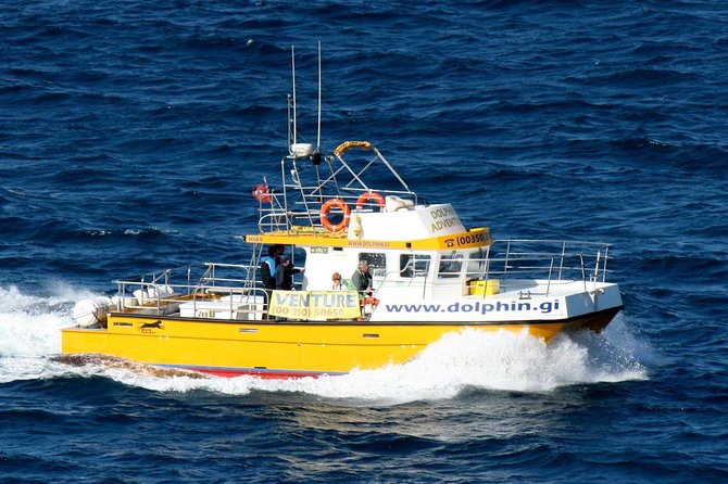 Gibraltar Dolphin Adventure - Weather, cancellations, and practical planning