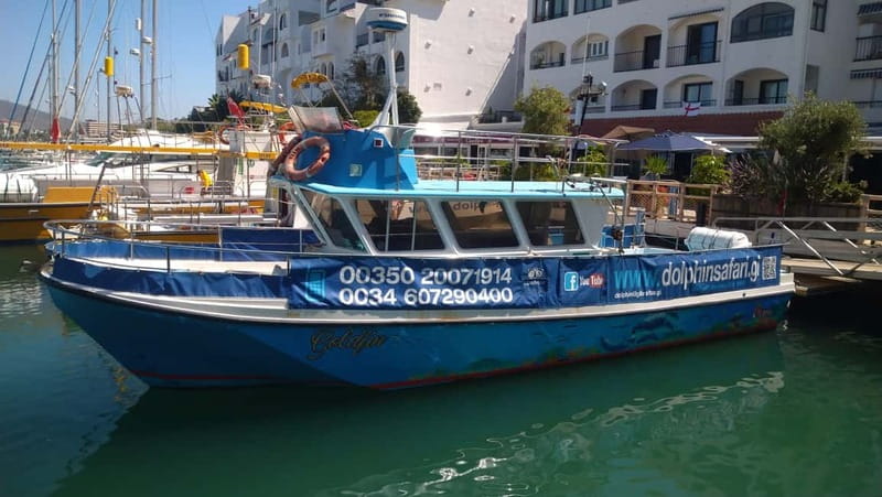 Gibraltar: Dolphin Watching Boat Tour - Why this Gibraltar boat trip is worth considering
