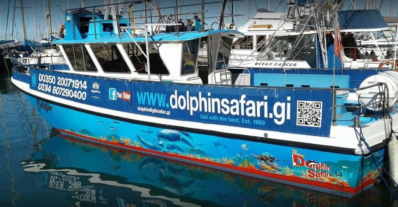 Gibraltar: Dolphin Watching Boat Tour - From Marina Bay to the open water