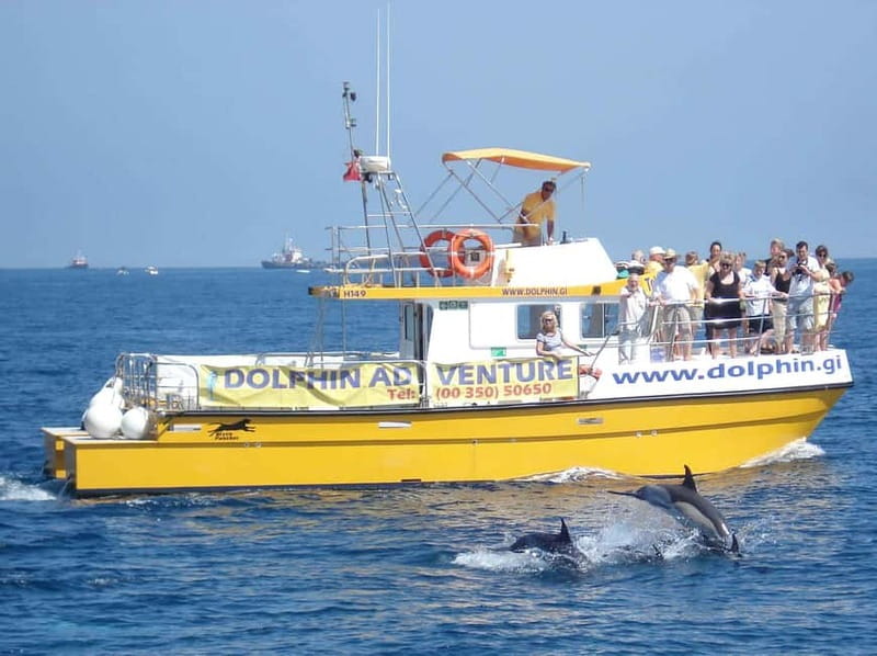 Gibraltar: Dolphin Watching Tour - What happens during the 75-minute boat trip