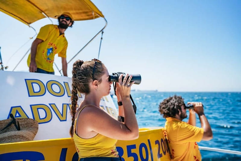 Gibraltar: Dolphin Watching Tour - Marina Bay meeting point and border advice