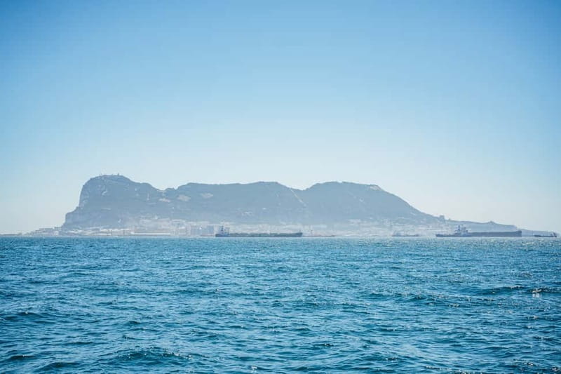 Gibraltar: Dolphin Watching Tour - Is $37 a fair price?