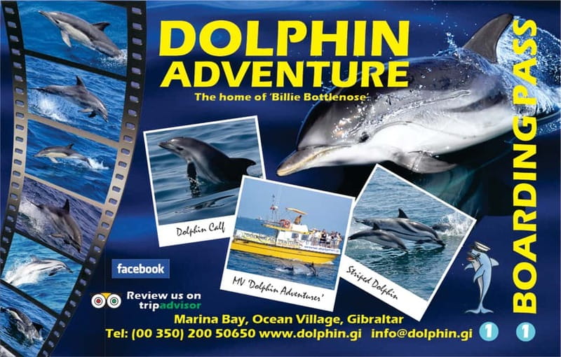 Gibraltar: Dolphin Watching Tour - Who will enjoy this trip most?