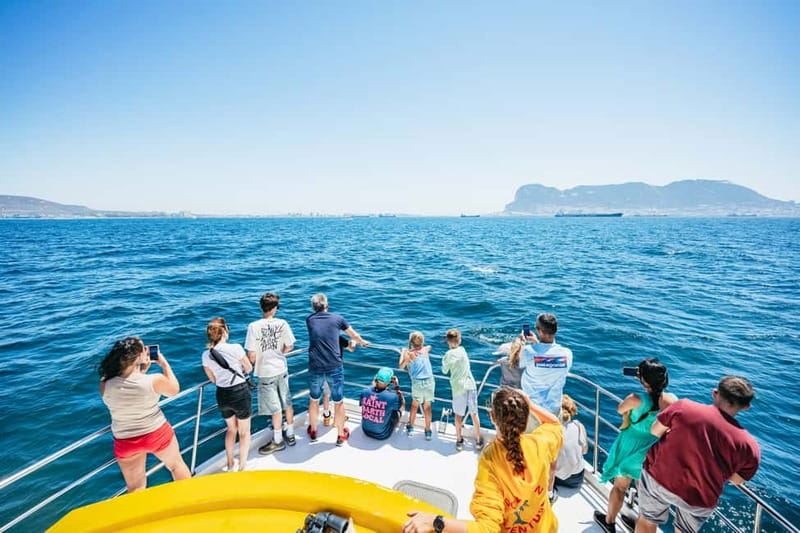Gibraltar: Dolphin Watching Tour - Smart ways to get more from the outing