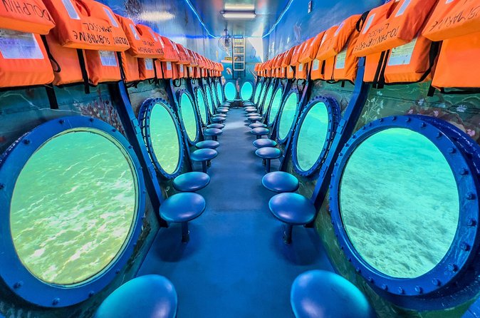 Glass Bottom Boat Dolphin Cruise to Blue Lagoon and Turtle Cove - Who will enjoy this cruise most?