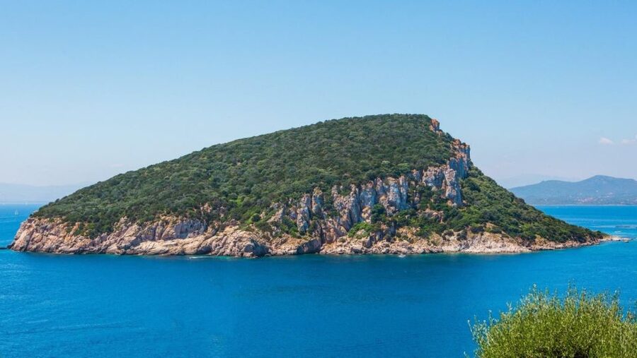 Golfo Aranci: Dolphin Watching and Snorkeling Boat Tour - Cala Greca and Cala Moresca swimming stops