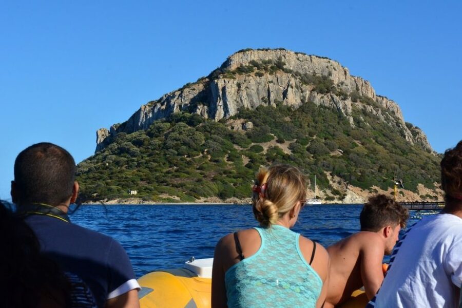 Golfo Aranci: Dolphin Watching and Snorkeling Boat Tour - The guides make the difference