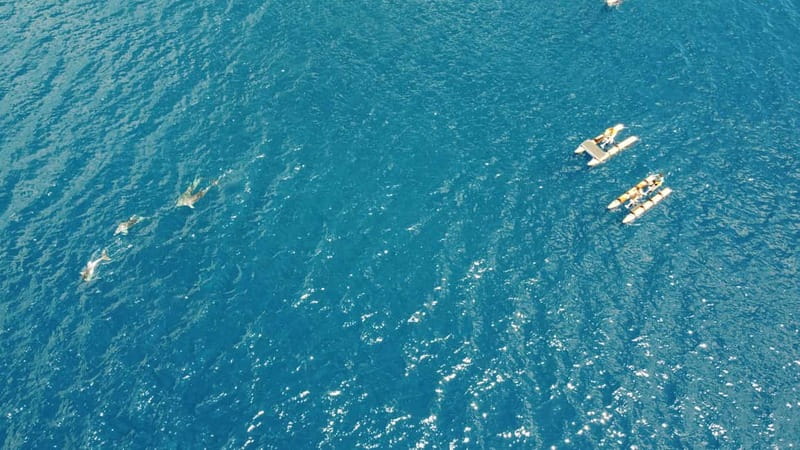 Golfo Aranci: Hydrobike Experience with Aperitif & Dolphins - Why pedal a hydrobike in Golfo Aranci?