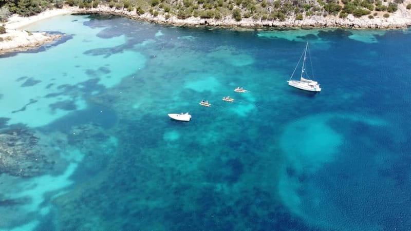 Golfo Aranci: Hydrobike Experience with Aperitif & Dolphins - Searching for dolphins near the fish-farming area