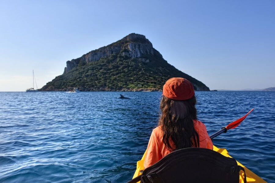 Golfo Aranci: Kayak Tour with Dolphins and Aperitif - Key points to know before you paddle