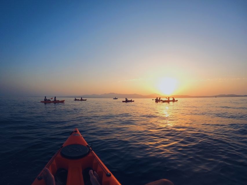 Golfo Aranci: Kayak Tour with Dolphins and Aperitif - Figarolo Island and the Sardinian aperitif