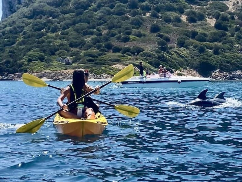 Golfo Aranci:Small group, german guided Kayak tour&Dolphins - Paddling to Cala Moresca