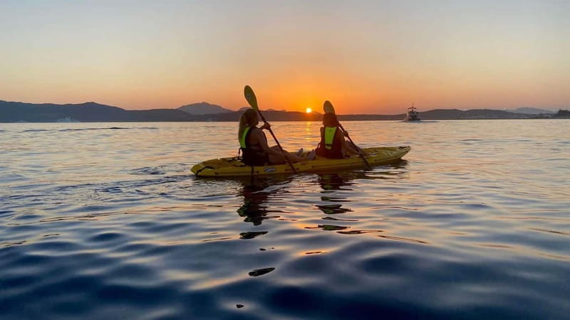 Golfo Aranci:Small group, german guided Kayak tour&Dolphins - The dolphin search near the fish farm