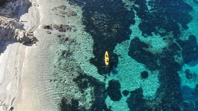 Golfo Aranci:Small group, german guided Kayak tour&Dolphins - Why the nine-person limit matters