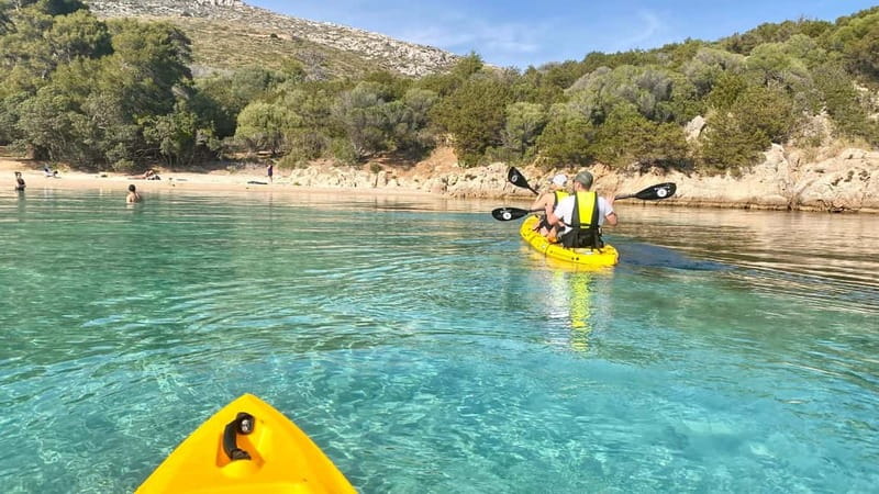 Golfo Aranci:Small group, german guided Kayak tour&Dolphins - What the $58 price covers