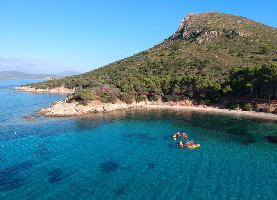Golfo Aranci: Sunrise Dolphin Kayak Tour with Breakfast - Looking for dolphins near the fish farm