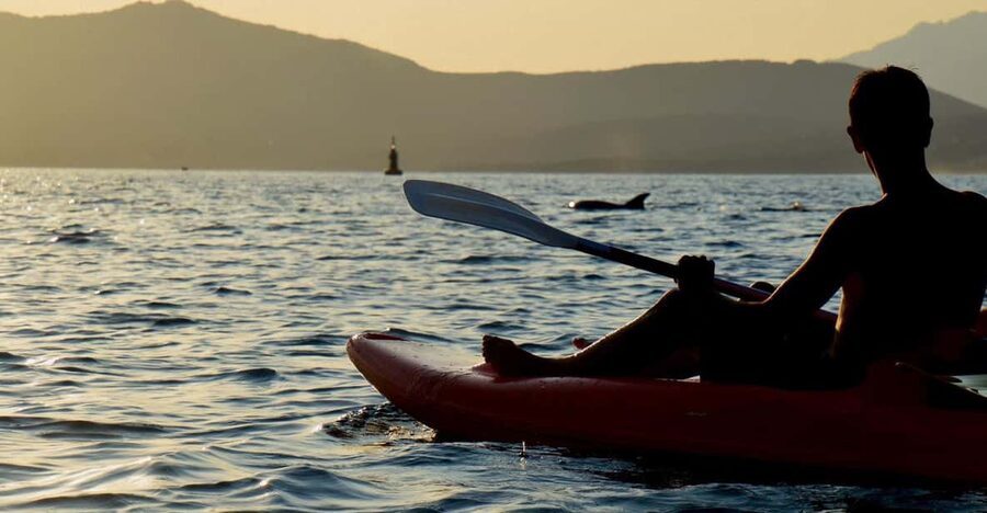 Golfo Aranci: Sunset Dolphin Kayak Tour with Aperitif - Key points to know before booking