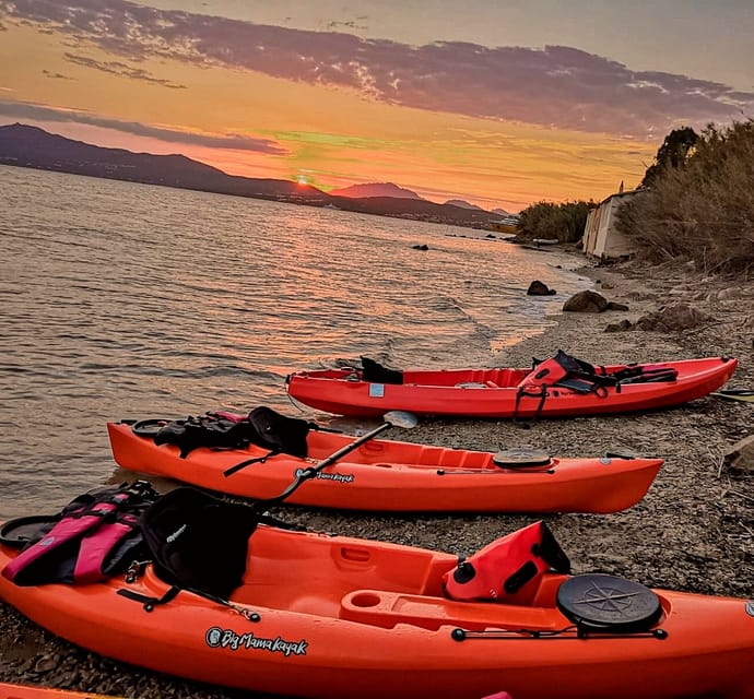 Golfo Aranci: Sunset Dolphin Kayak Tour with Aperitif - Is $65 a fair price?