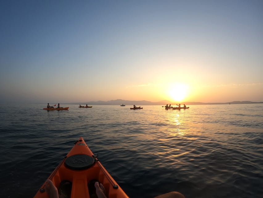 Golfo Aranci: Sunset Dolphin Kayak Tour with Aperitif - Who will enjoy this kayak outing most?