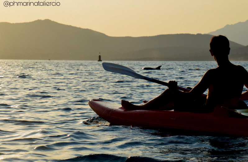 Golfo Aranci: Sunset Dolphin Kayak Tour with Aperitif - Paddling along the Golfo Aranci coast