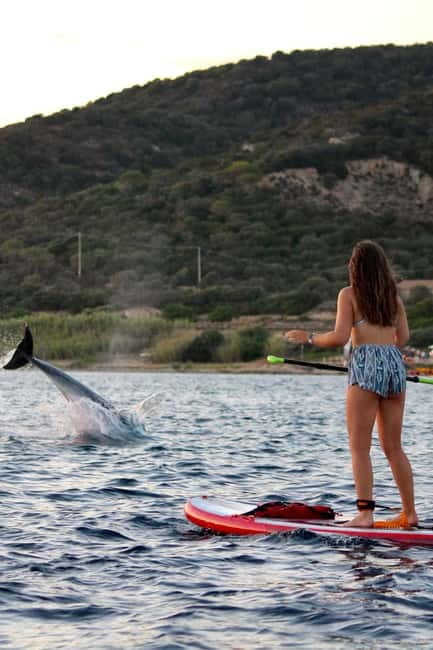 Golfo Aranci: Sup with dolphins, aperitif & photo shoot - Paddling around Figarolo Island