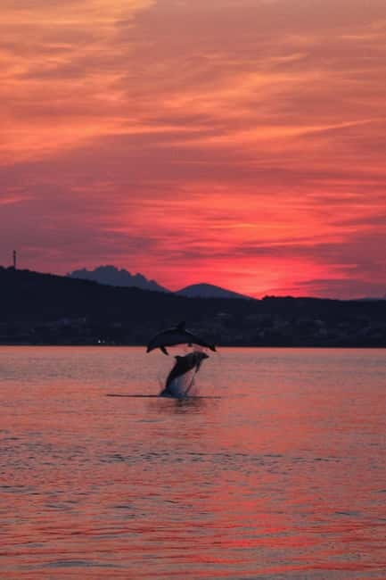Golfo Aranci: Sup with dolphins, aperitif & photo shoot - How much value do you get for $62.63?