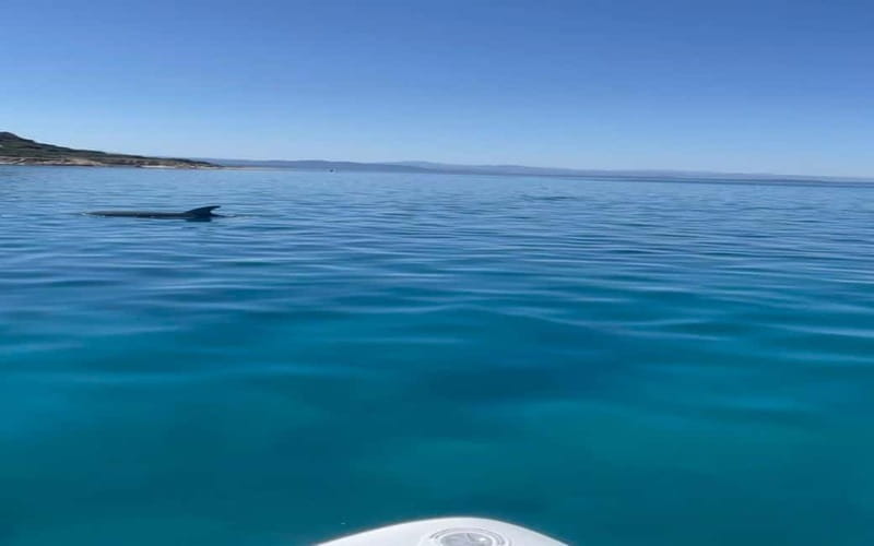 Golfo Aranci tour SUP Paddleboard Dolphin watching, aperitif - The first 20 minutes: balance, paddles, and safety