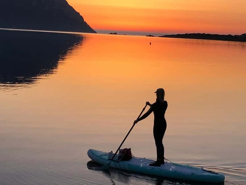 Golfo Aranci tour SUP Paddleboard Dolphin watching, aperitif - Snorkeling, swimming, and shared photos