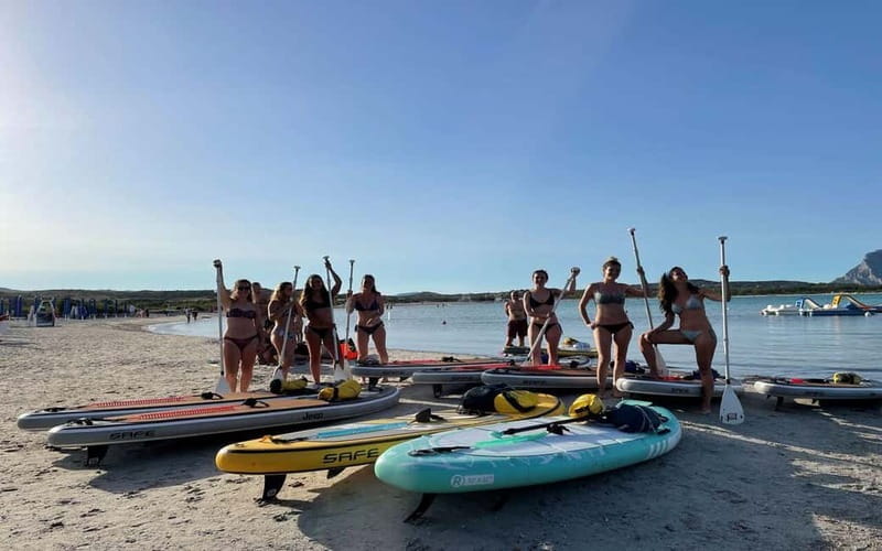 Golfo Aranci tour SUP Paddleboard Dolphin watching, aperitif - The guides and the feel of a 10-person group