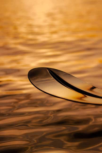 Golfo Aranci: traditional or transparent kayaks, dolphins, and aperitifs - Launching from Baracconi Beach