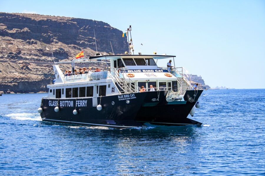 Gran Canaria: Catamaran Dolphin Watch Cruise with Snorkeling - Puerto Base is the starting point