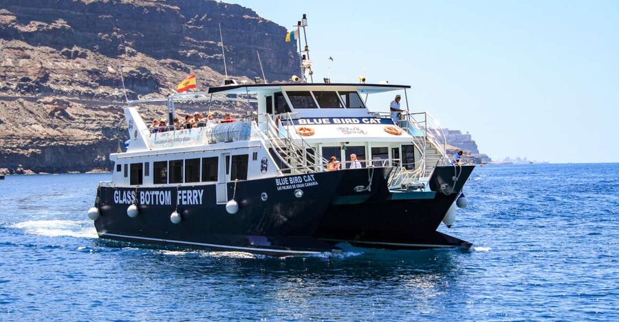 Gran Canaria: Catamaran Dolphin Watch Cruise with Snorkeling - What the catamaran feels like at sea