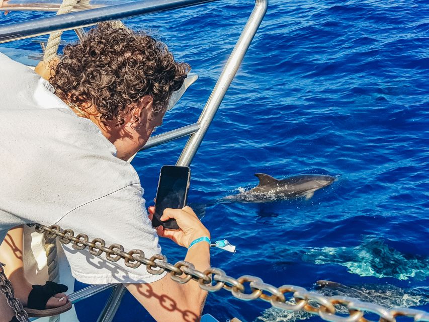 Gran Canaria: Catamaran Dolphin Watch Cruise with Snorkeling - Who will enjoy this outing most?