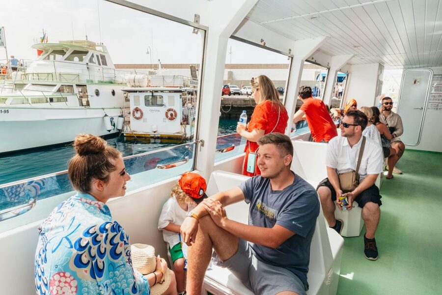 Gran Canaria: Dolphin and Whale Watching Cruise - The search for dolphins and whales