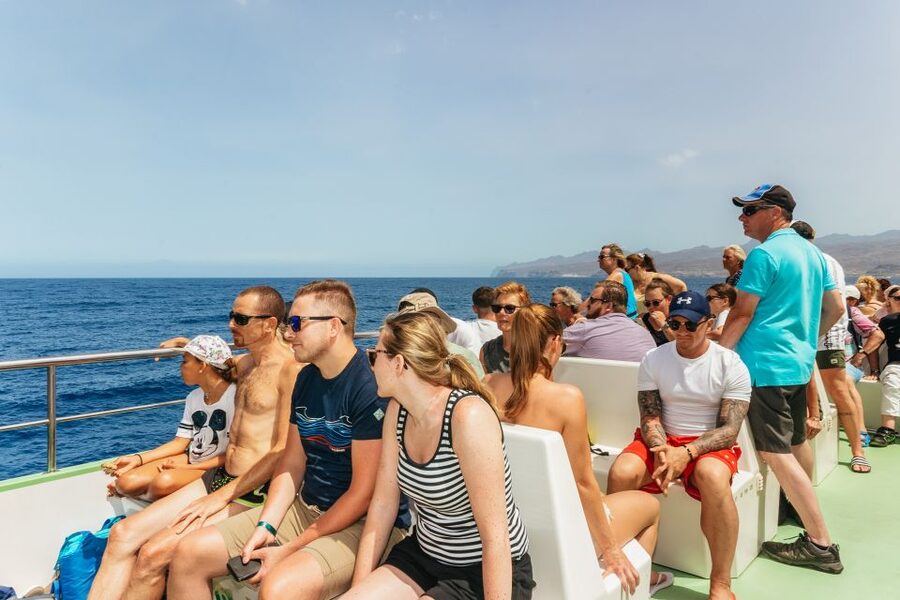 Gran Canaria: Dolphin and Whale Watching Cruise - Comfort, facilities, and the onboard bar